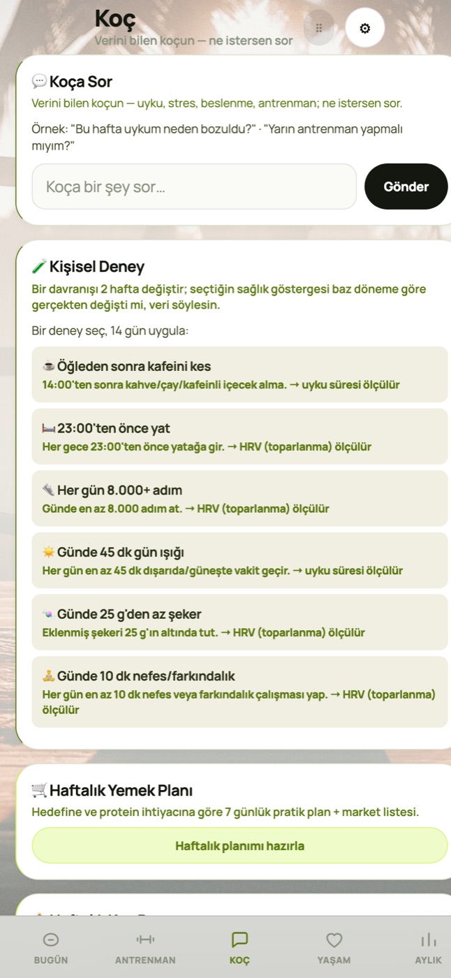 Wealthen — Koç ekranı